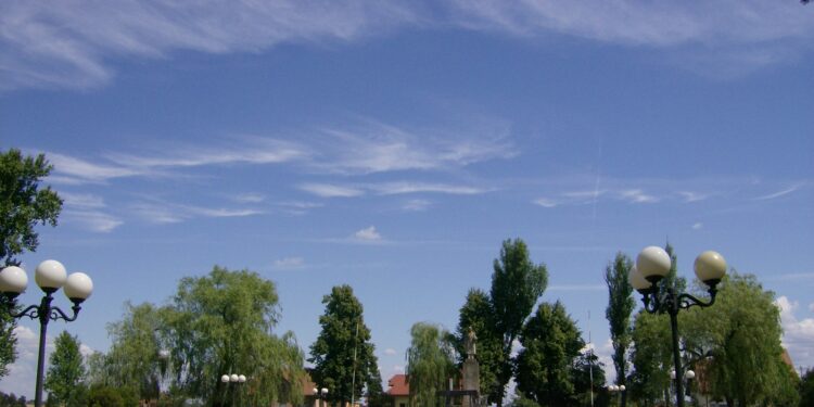 Cmentarz w Garwolinie