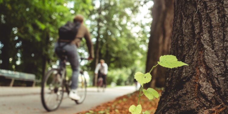 Najpiękniejsze trasy rowerowe w powiecie garwolińskim - gdzie warto pojechać na wycieczkę